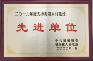 公司2019年争先创优荣誉