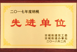 2017年度纳税**单位